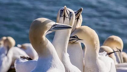 上海最新的高价医保卡惠民保险代扣怎么取消掉了方法分享(上海惠民医保怎么报销教程)